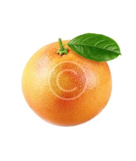 Grapefruit